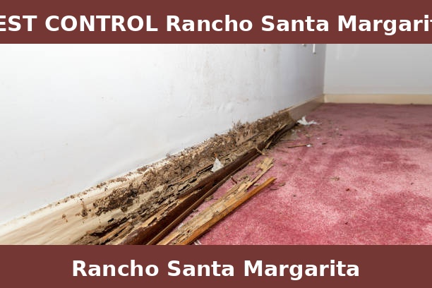 PEST CONTROL Rancho Santa Margarita